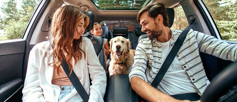 Eine Frau, ein Mann und ein junges Mädchen sitzen im Auto und schauen ihren Hund an.