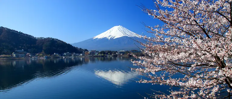 Man sieht einen See und dahinter befindet sich ein großer Vulkan mit weiß bedeckter Spitze, der Fuji heißt.