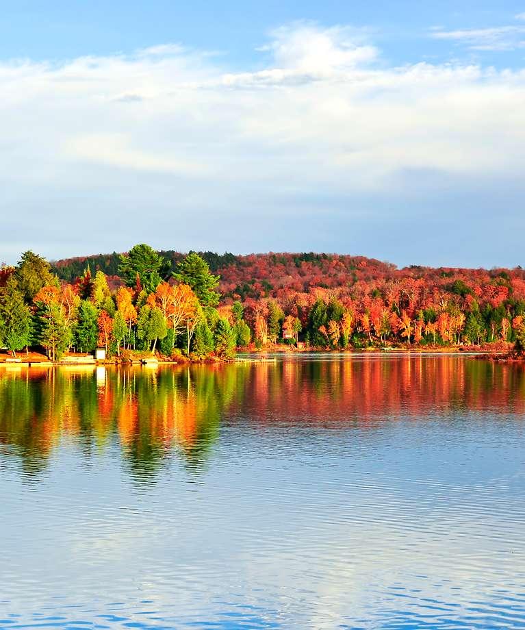 Zuerkennen ist ein Wald am See, der viele bunte Farben enthält.