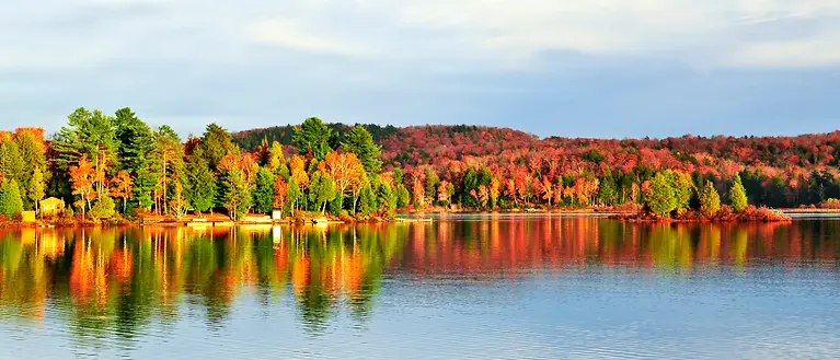Zuerkennen ist ein Wald am See, der viele bunte Farben enthält.