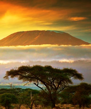 Man sieht den bekannten Kilimanjaro. Der Himmel erscheint in gelben Farben und man erkennt eine Wolkenschicht.