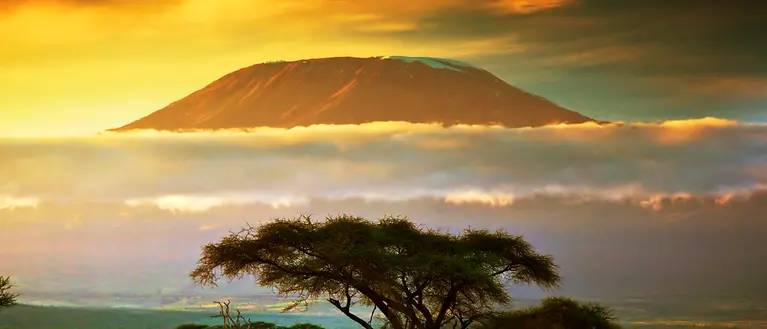 Man sieht den bekannten Kilimanjaro. Der Himmel erscheint in gelben Farben und man erkennt eine Wolkenschicht.