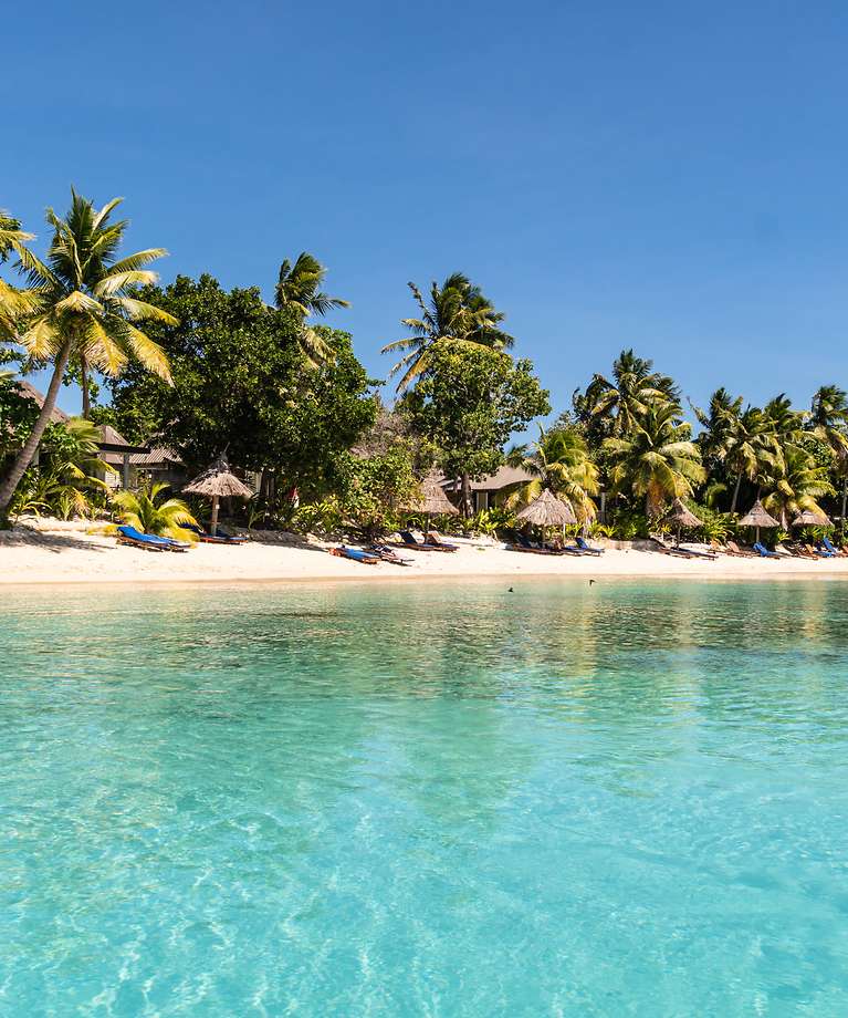 Man sieht einen Strand mit vielen Palmen und klarem Wasser.