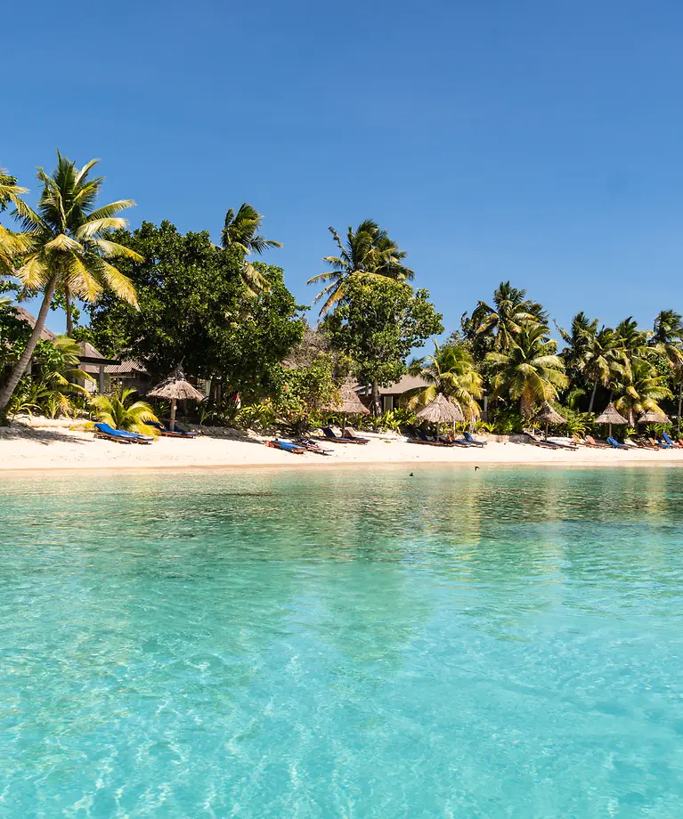 Man sieht einen Strand mit vielen Palmen und klarem Wasser.