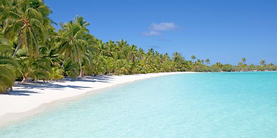 Man sieht einen weißen Strand mit vielen Palmen. Außerdem sieht man glasklares Wasser.