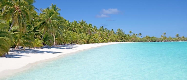 Man sieht einen weißen Strand mit vielen Palmen. Außerdem sieht man glasklares Wasser.