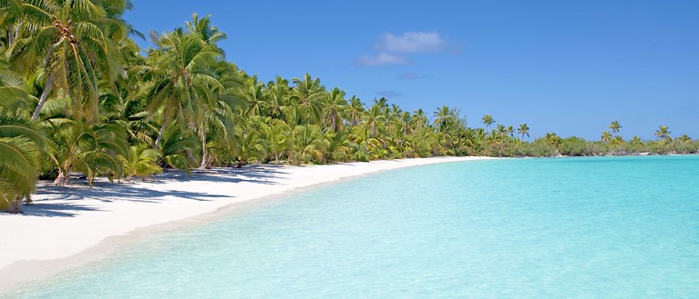 Man sieht einen weißen Strand mit vielen Palmen. Außerdem sieht man glasklares Wasser.