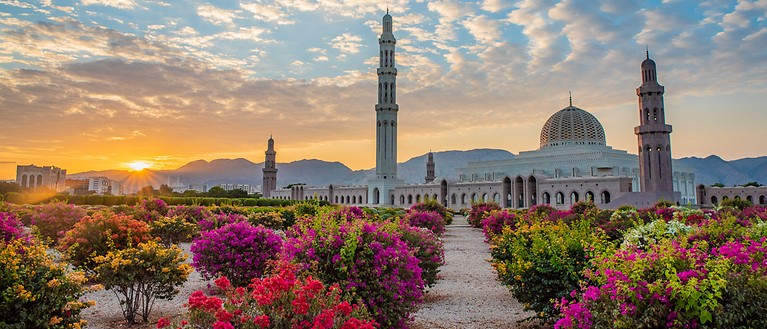 Man sieht eine große Moschee in Maskat. Vor der Moschee sind bunte Büsche gepflanzt. 