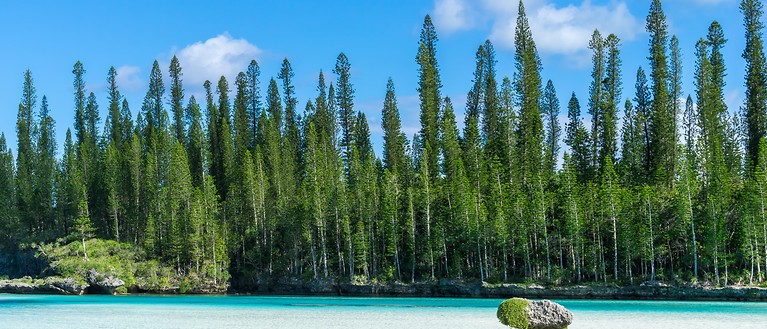 Man erkennt ein Naturschwimmbad mit türkisem Wasser und im Hintergrund ist ein Wald zu sehen.
