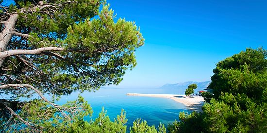 Man sieht Bäume, die an einer Bucht stehen und das Wasser erscheint in einem türkis-blauen Farben.
