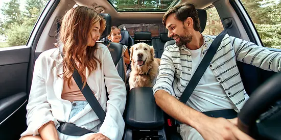 Eine Frau, ein Mann und ein junges Mädchen sitzen im Auto und schauen ihren Hund an.